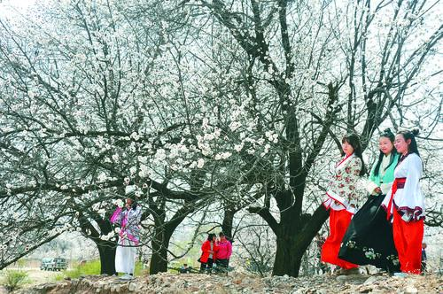 谈球吧体育视觉